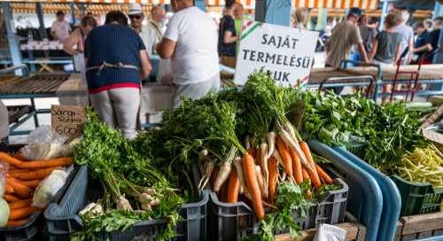 Számvevőszék: A nagy szupermarket-láncokkal szemben védtelenek a gazdák