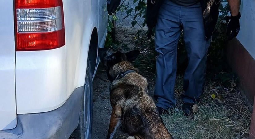 Otthagyták a furgont a parkolóban, elképesztő rakomány lapult benne