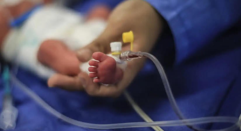 Munkába áll a kórházban rekedt csecsemők ügyével foglalkozó szakmai testület