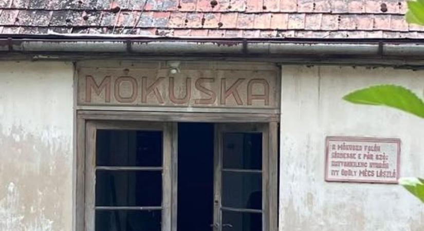 Rejtélyes ház bújik meg Tihanyban – híres költő emlékét őrzi a pusztuló Mókuska (fotók)