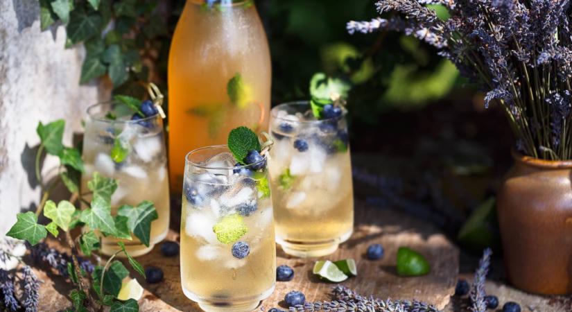 Íz és tápanyagtartalom terén is a felturbózhatod a limonádét – 10 extra hozzávalót mutatunk