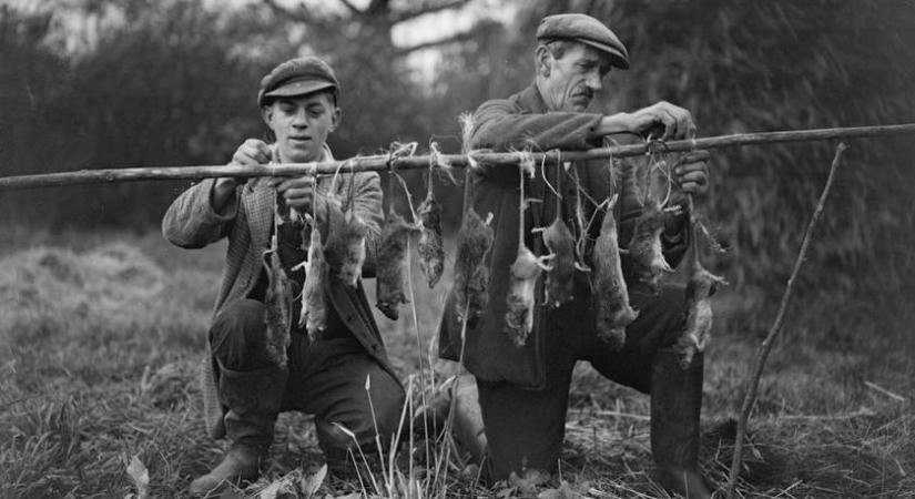 Köpőcsővel ébresztették a munkába igyekvőket: 6 bizarr szakma a múltból, ami ma már szürreálisnak tűnik