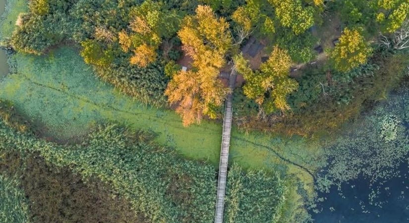 Amerikában is debütál a Tisza-tóról készült fotósorozat – Mutatjuk a fantasztikus képeket
