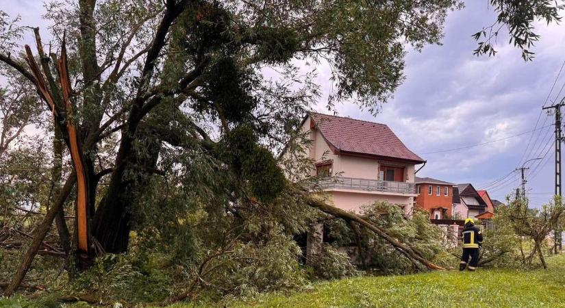 Veszély leselkedik a kertekben, utcákon! Erre figyelmeztet most a katasztrófavédelem
