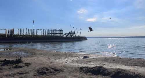 Erősen közelít történelmi mélypontjához a Balaton vízszintje, kétségbeejtő állapotról beszél a szakértő