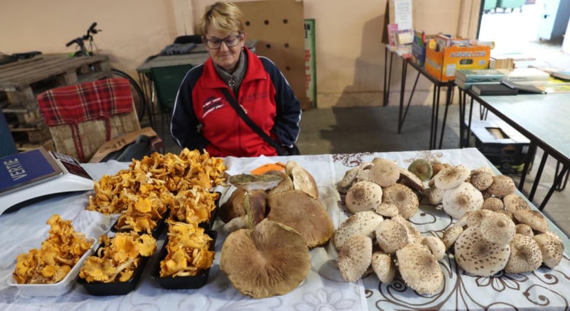 Őszi finomságok a piacon, meglepő árakkal – ennyibe kerül most a bevásárlás Kaposváron