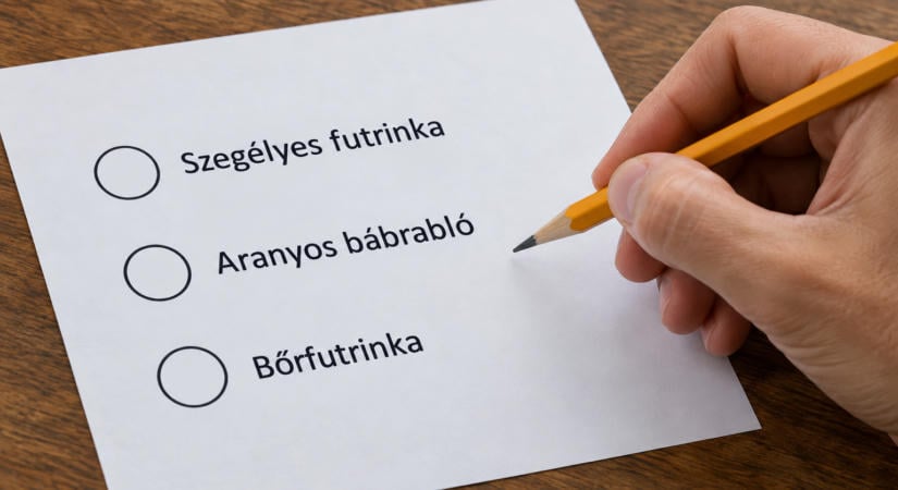 Elindult a szavazás 2027-es Év rovarára