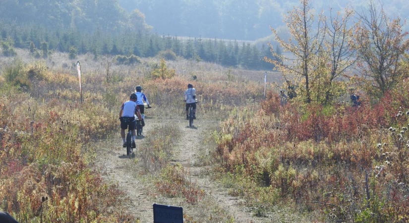 A hosszú távokkal folytatódott vasárnap a Sopron MTBO - Fotó