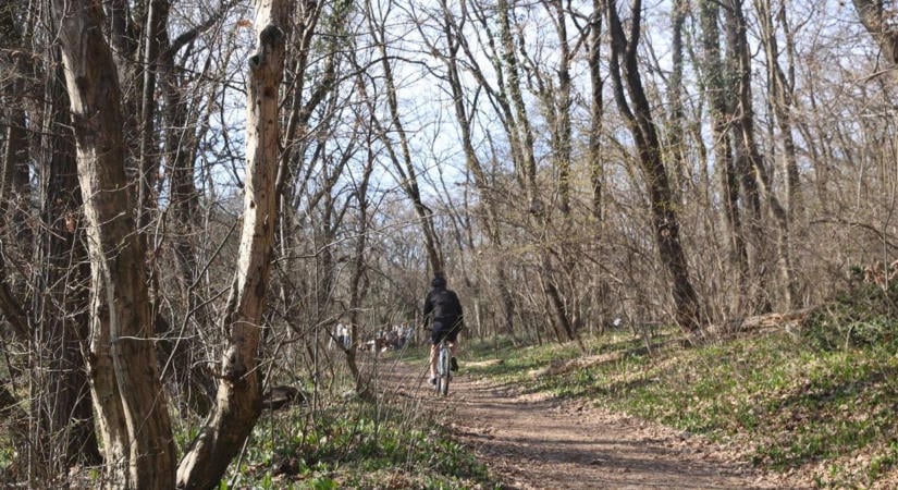 Forgalomkorlátozás jön a Pécs határában, a kerékpárutat is lezárják