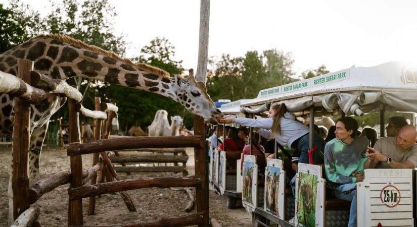 Álhír terjed a Richter Safari Parkról, megszólalt a tulajdonos