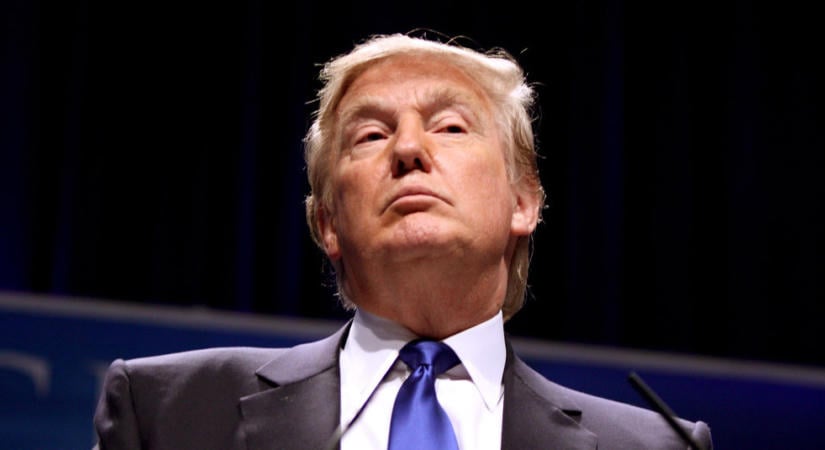 Trump szerint a napelemek megölik az összes állatot
