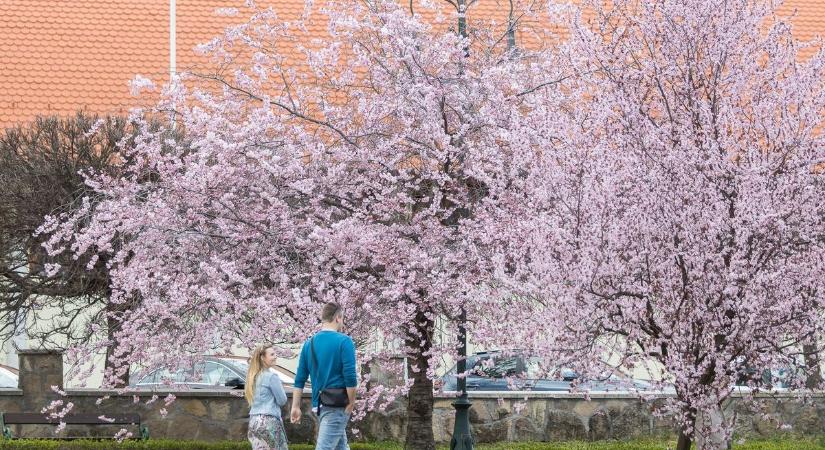 Van egy tippünk, hol készül mostanában a legtöbb egri szelfi  Fotók