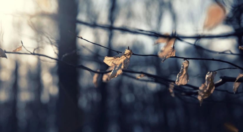 15 fokot ugrik a hőmérséklet csütörtökön