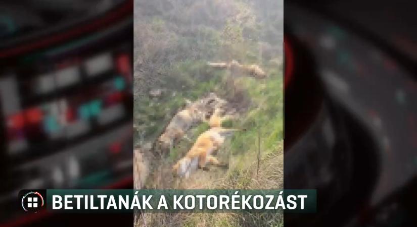 Véget vethetnek a kotorékozásnak