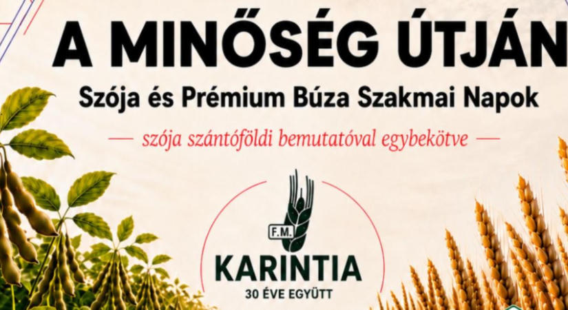 A minőség útján - Szakmai nap - Bicsérd