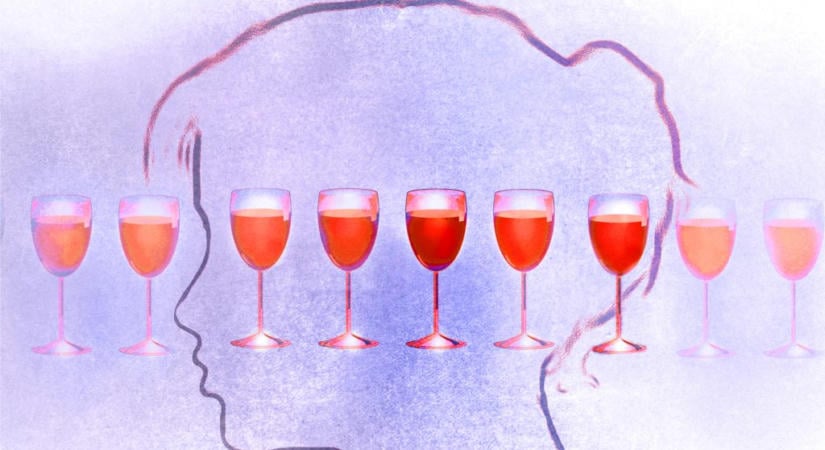 Rájöttek, hogy lehet kiiktatni az alkohol agykárosító hatását