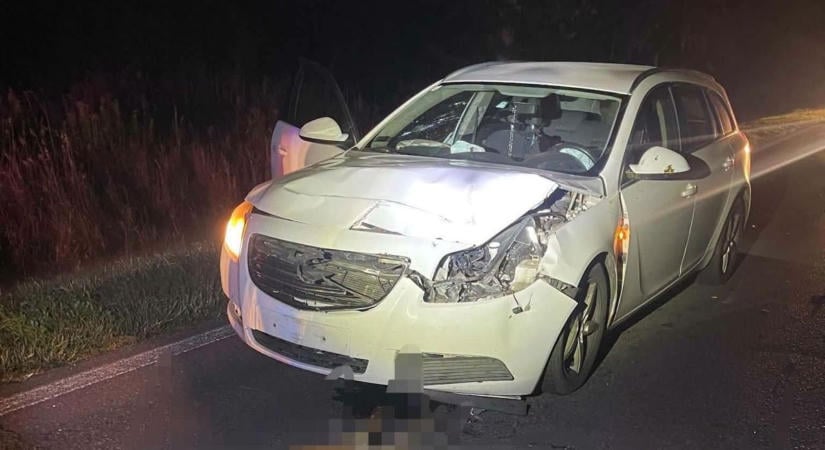 Mentőautó elé ugrott a szarvas - rövid idő alatt két vadgázolás történt Veszprém megyében