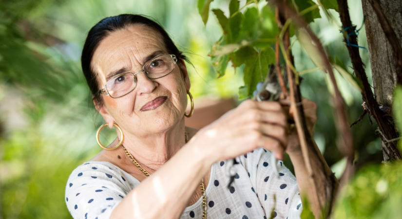 Már újra imádott Sándorával van Failoni Donatella – fotókon Oszterék diósjenői birtoka, ahol évtizedekig boldogságban éltek