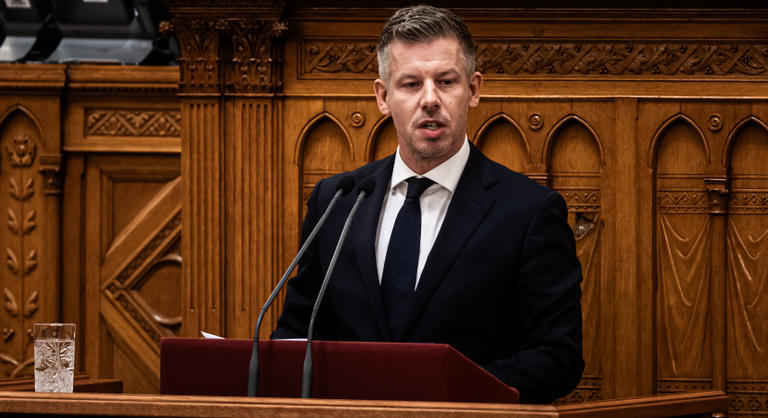 Újabb három főispán kinevezéséről döntött Magyar Péter