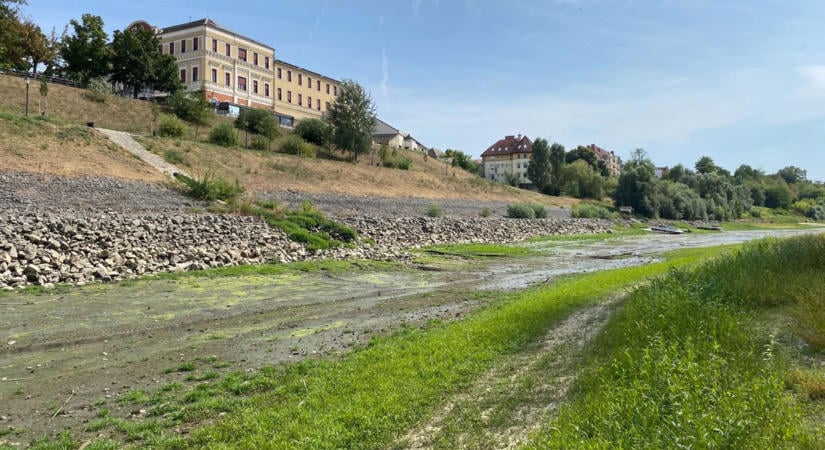 Nem elég a kotrás: több beavatkozásra is szükség lehet a Sugovica megmentéséhez