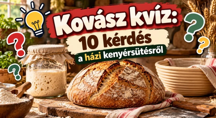 Kovász kvíz: 10 kérdés a házi kenyérsütésről