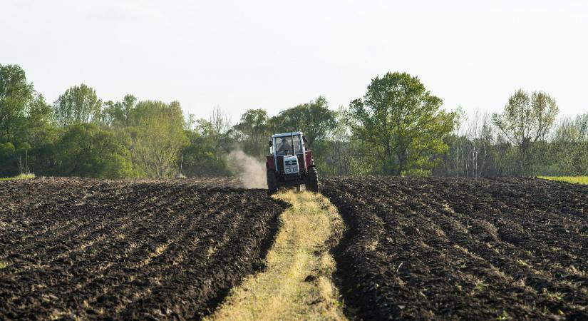 Génmódosítás: eddig ágyúval lőttek, most sebészkéssel dolgoznak