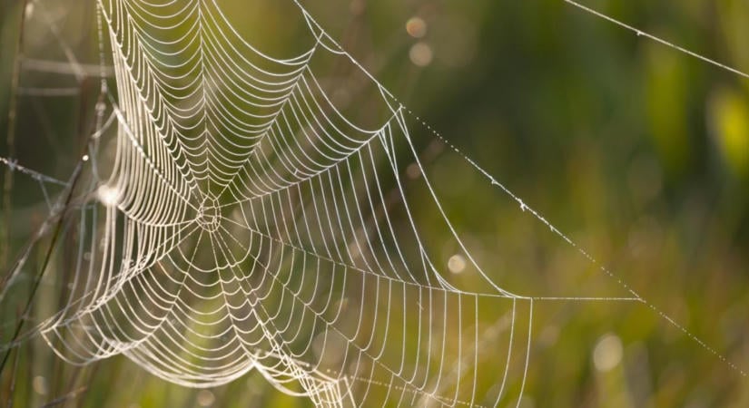 3 napos előrejelzés: Eljött a brutális hőingások időszaka