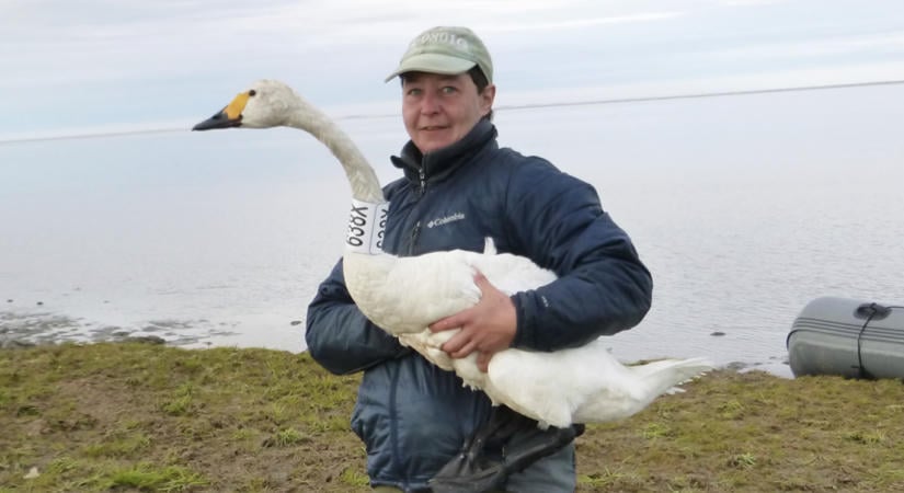 A sarkvidéken kutatta a madarakat, így nem tudta leállítani a minimális összegű utalást Navalnijnak, 3,5 évet kapott büntetőtelepen