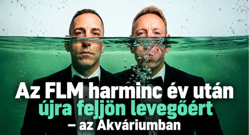 Harminc évvel a feloszlás után adja első igazi koncertjét az FLM