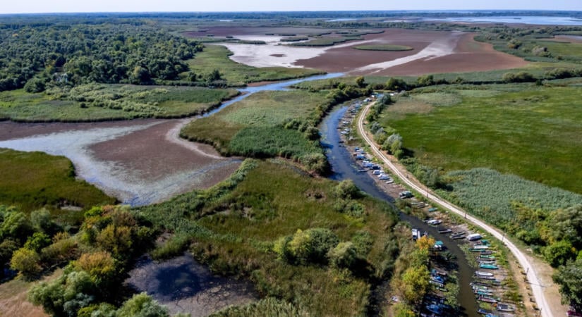 Az aszály miatt rendkívüli intézkedést léptettek életbe az agrártámogatásokra