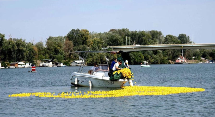 Ötezer gumikacsa lepi el a Tiszát: idén is jön Szeged egyik leglátványosabb versenye