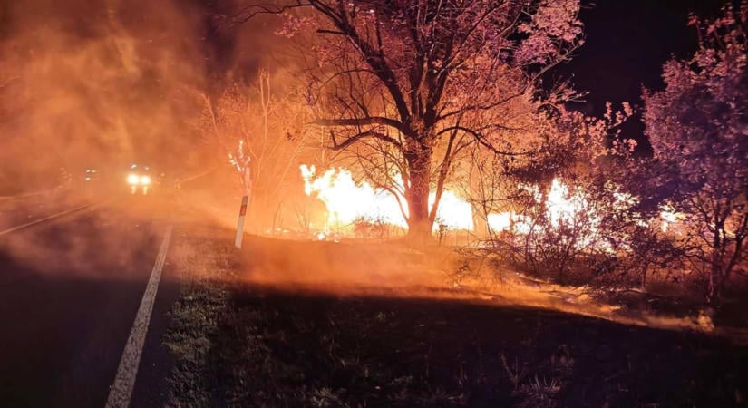 Olajtűz a konyhában, lángoló autó és égő lomok – sűrű hétvégéjük volt a tűzoltóknak
