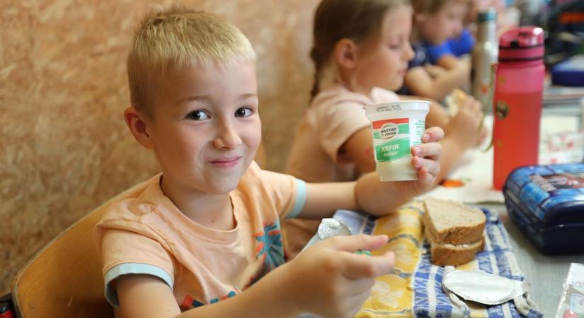 Somogyi milliók az egészséges táplálkozásért
