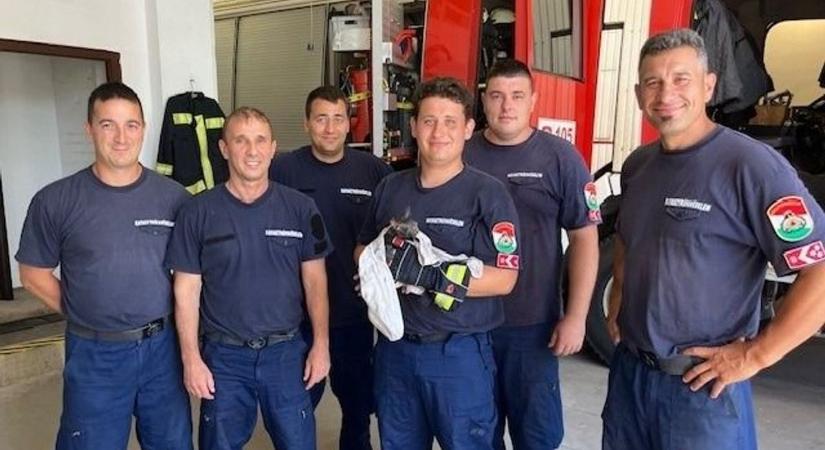 Egy bajba jutott kiscicáért indult a versenyfutás Mezőtúron – galériával