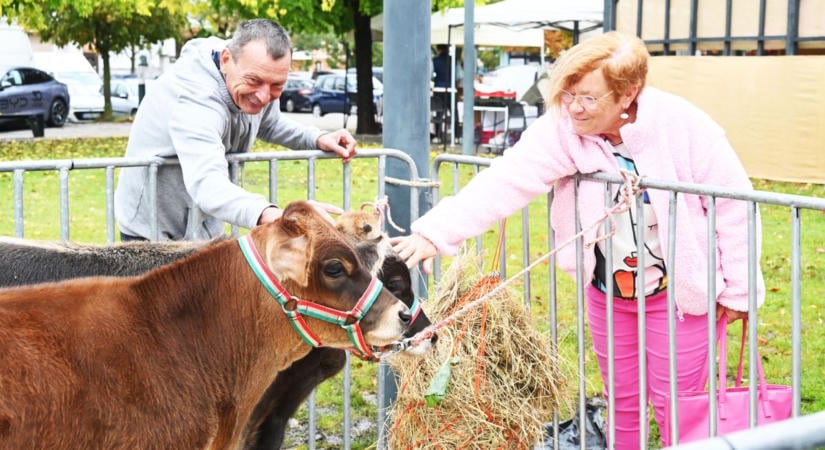 Kerek jubileumhoz ért a szolnoki Dunszt, a dió és Szatmár-Bereg ízei taroltak a Hild téren – galéria