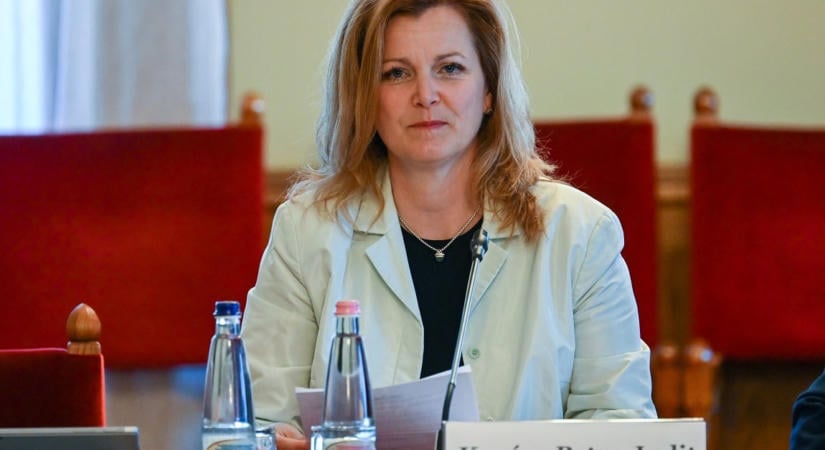 Bocsánatot kért a tiszás képviselő, miután „parasztot” kiáltott a parlamentben