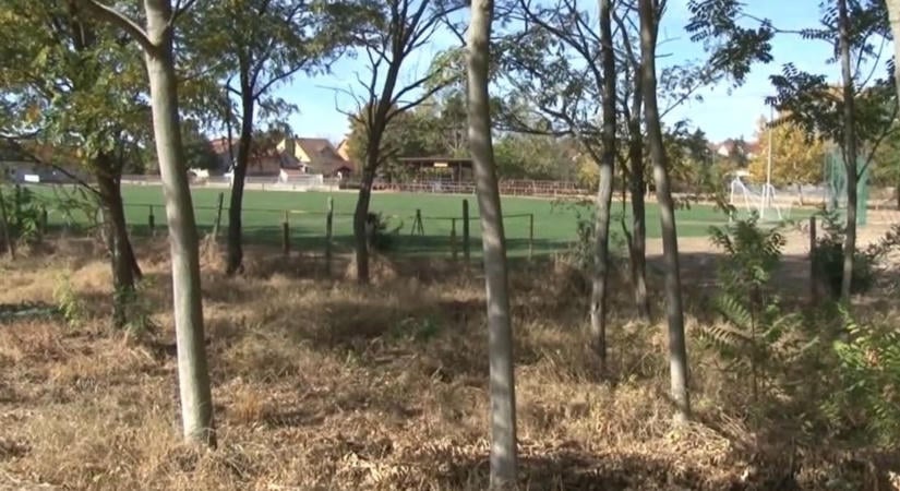 Betolakodók tértek vissza a borsodi faluba: a focipályát már elintézték, a kertekbe is bejárnak – videóval