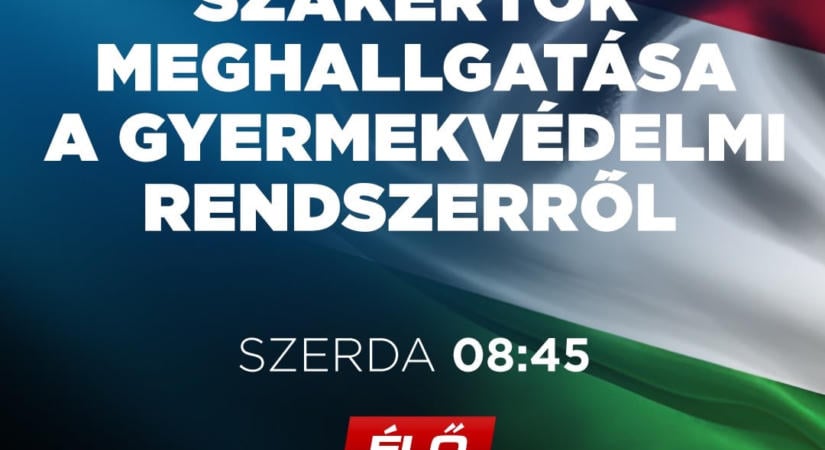 Szakértőket hallgat meg a Gyermekvédelem Rendszerszintű Válságát Feltáró Vizsgálóbizottság – Nézze itt élőben