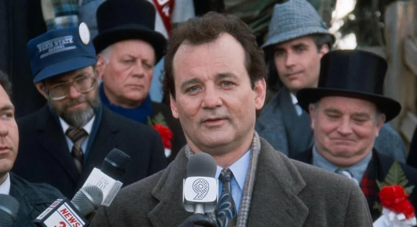Bill Murray-t kétszer is megharapta a filmbeli társa: aztán kiderült az igazság