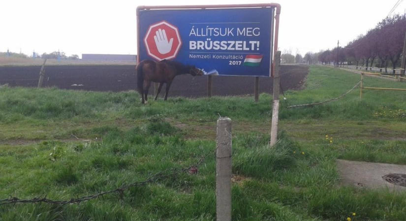 Brüsszelből kér segítséget a Fidesz