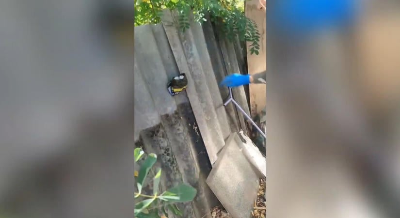 Kerítésen lógó kristállyal bukott meg egy apa-fia páros Pest megyében – videó