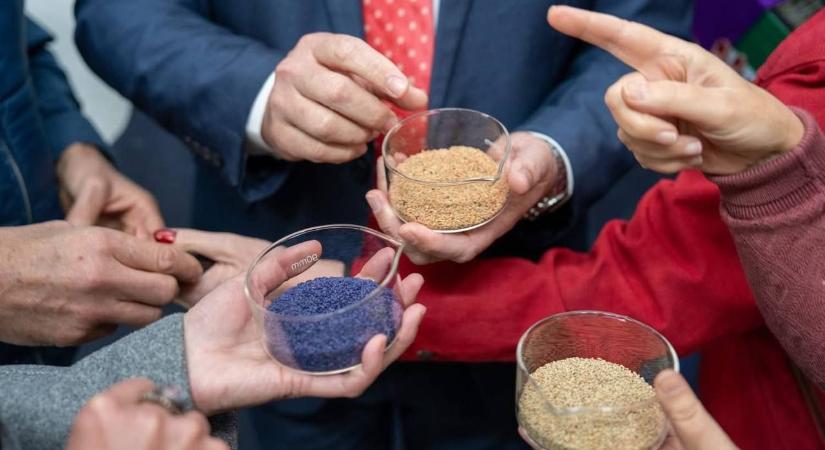 A VILÁGŰRBE INDUL A DÉL-AFRIKAI ROOIBOS – KÜLÖNLEGES KÍSÉRLET VIZSGÁLJA, HOGYAN HAT A MIKROGRAVITÁCIÓ A NÖVÉNYRE
