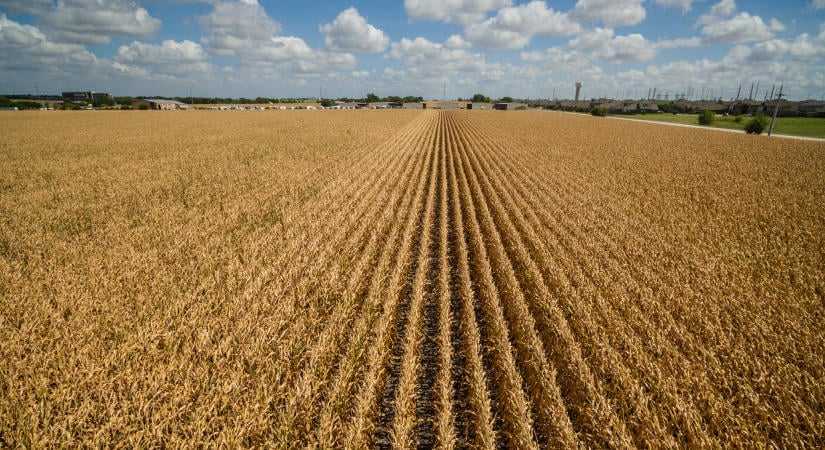 Robban a bomba a magyar agráriumban: milliárdos csalásokra derült fény