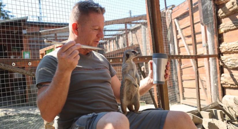 Tíz éve a természet szolgálatában – így született a Mini Zoo Komló (GALÉRIA)