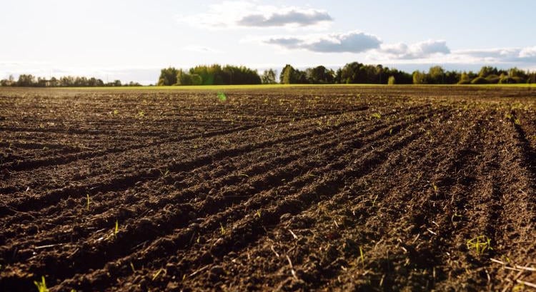 Átalakulhat az agrárpiac: új szabályokat készít elő az EU