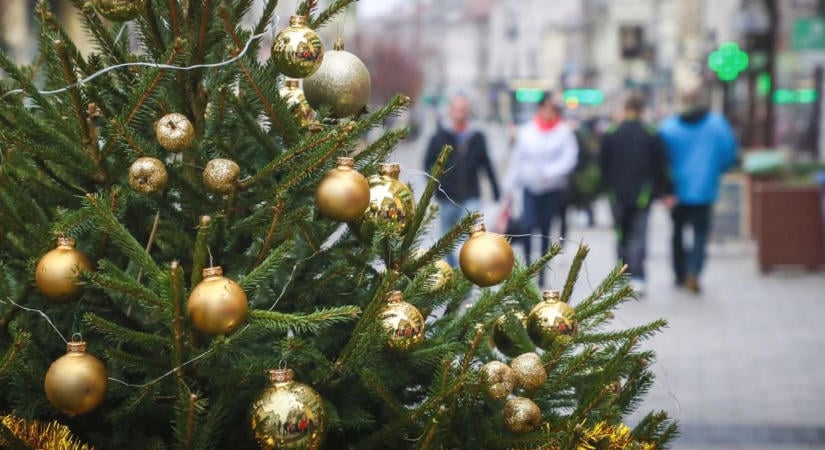 Keresik a Tisza-tavi város karácsonyfáját