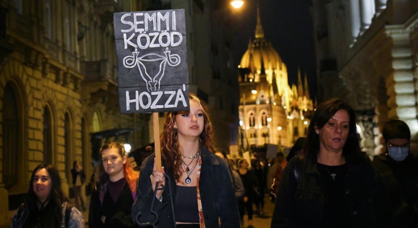 Ámon Kata: Szívhang és kékharisnya