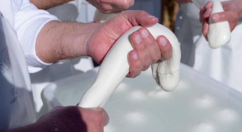 Nem boldogok a sajtkészítők: a bivalymozzarella is az olaszországi tüntetések áldozatául esett