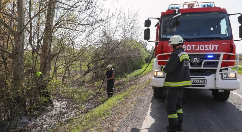 Gondoltad volna? Baranyában még most is tilos tüzet gyújtani az erdőben
