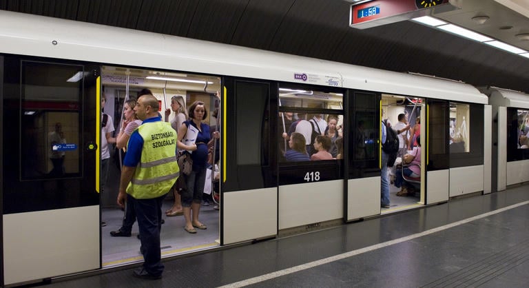 A metrózó vaddisznó kutyafüle volt a legmenőbben tömegközlekedő állatokhoz képest